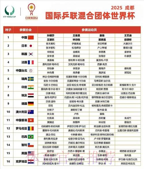 世界杯小组赛赛程哪里看